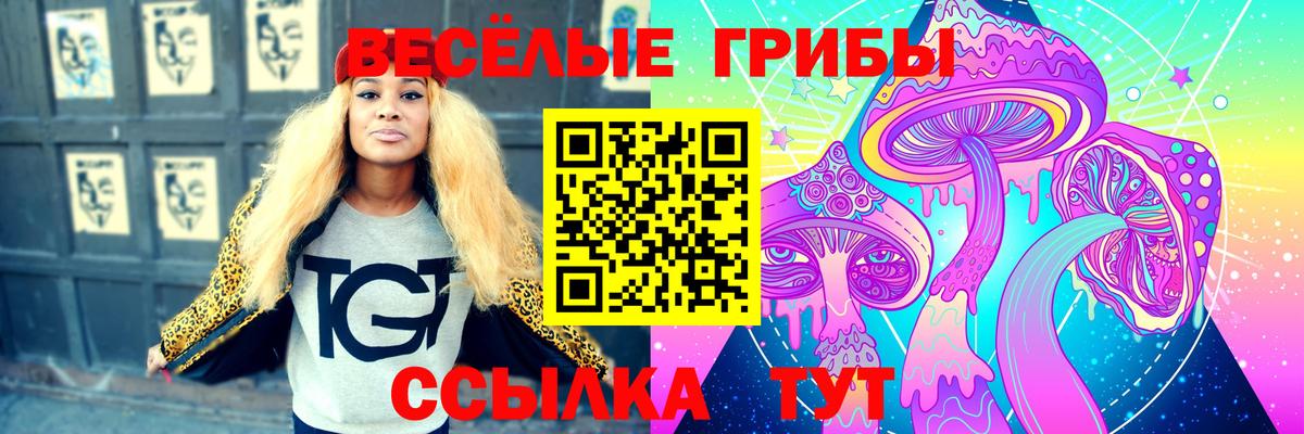 Улан-Удэ  Псилоцибиновые грибы Psilocybe  Псилоцибиновые грибы GOLDEN TEACHER  Вход с VPN 